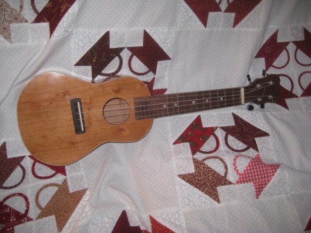 Ukulele #5